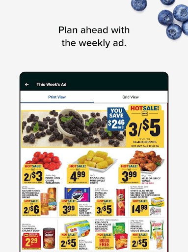 Food Lion screenshot 12