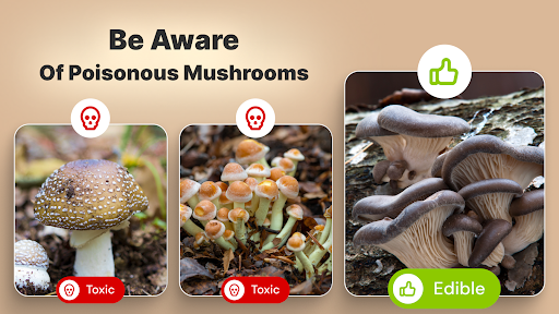 Mushroom Identification screenshot 3