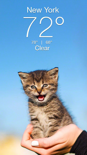 Weather Kitty - App & Widget screenshot 1
