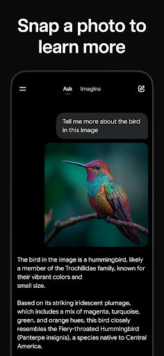 Grok - AI Chat & Video screenshot 2
