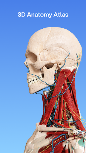 VOKA 3D Anatomy and Physiology screenshot 7