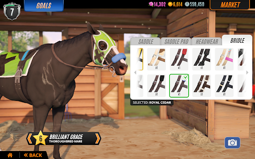 Rival Stars Horse Racing screenshot 14