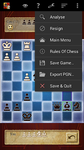 Chess Pro screenshot 9