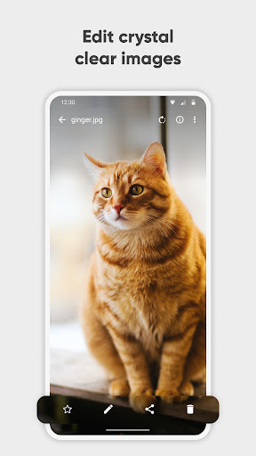Simple Gallery Pro screenshot 2