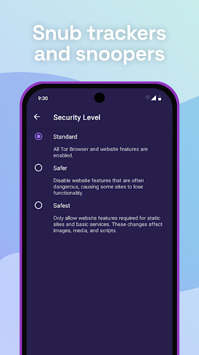Tor Browser screenshot 2