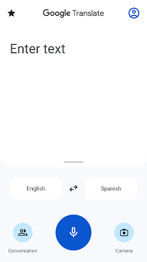 Google Translate screenshot 1