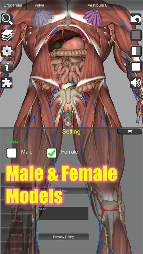 3D Anatomy screenshot 20