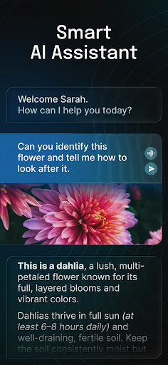 AI Chatbot - Nova screenshot 9