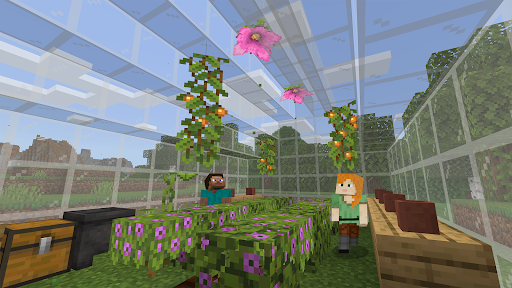 Minecraft Education Preview screenshot 4