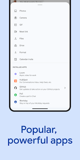 Google Chat screenshot 4