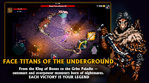 Pocket Rogues: Ultimate screenshot 16