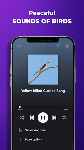 Phone Ringtones screenshot 16