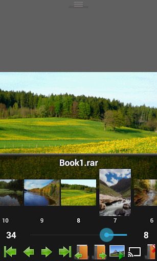 Perfect Viewer Donation 2 screenshot 2