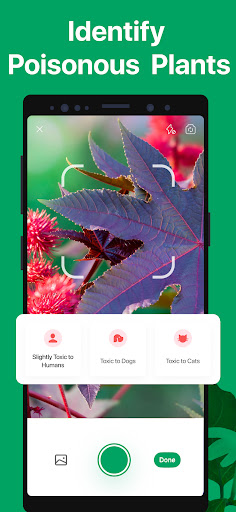 PictureThis - Plant Identifier screenshot 17