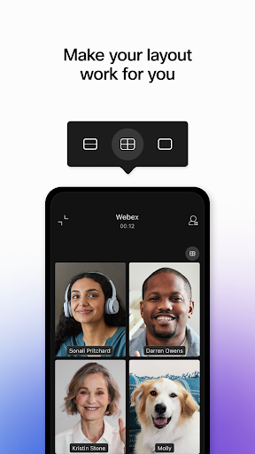 Webex screenshot 6