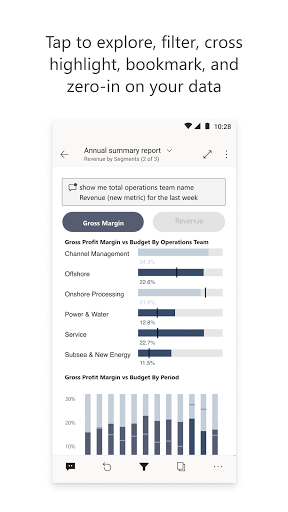 Microsoft Power BI screenshot 1