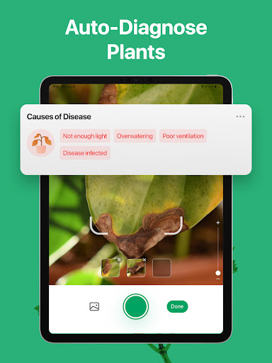 PictureThis - Plant Identifier screenshot 19