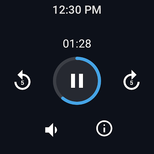 Easy Voice Recorder Pro screenshot 9