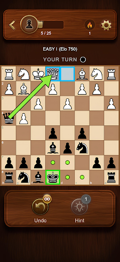 Chess Master: Board Game screenshot 3