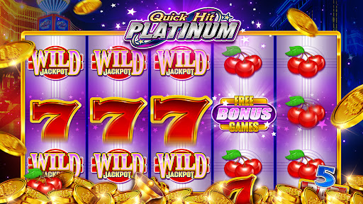 Quick Hit Casino Slots Games screenshot 3
