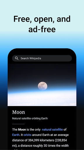 Wikipedia screenshot 6