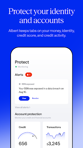 Albert: Budgeting and Banking screenshot 6