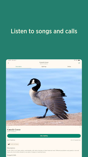 Audubon Bird Guide screenshot 11