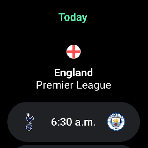 FotMob - Soccer Live Scores screenshot 13