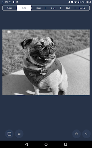 NotanIzer screenshot 12