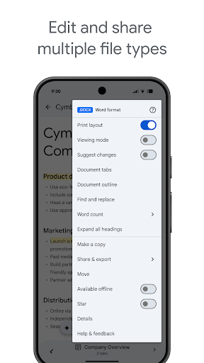 Google Docs screenshot 1
