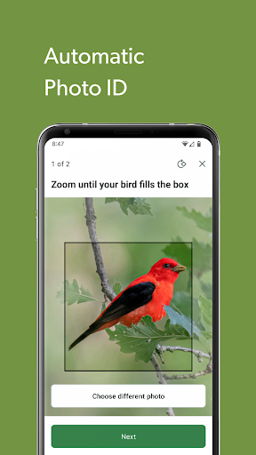 Merlin Bird ID by Cornell Lab screenshot 3