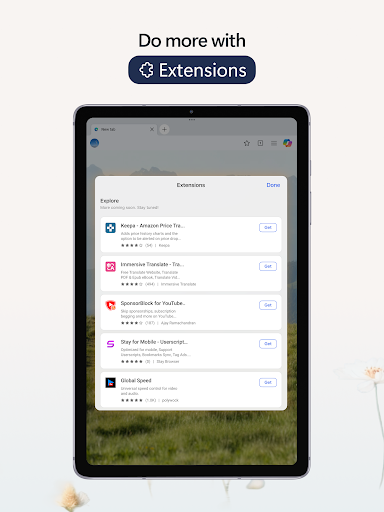 Microsoft Edge screenshot 7