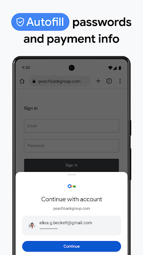 Google Chrome screenshot 3