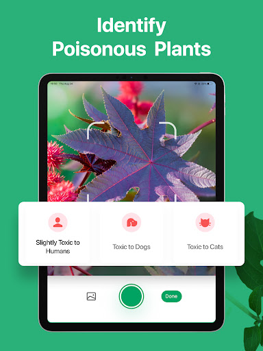 PictureThis - Plant Identifier screenshot 10