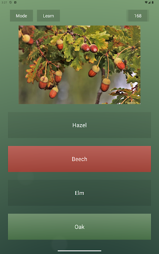 Endless Quiz Pro screenshot 6