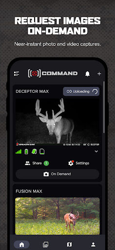 Command screenshot 2