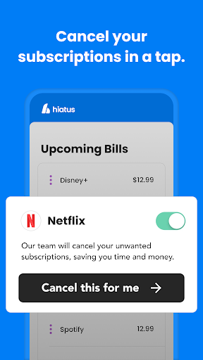 Hiatus: Bill and Money Manager screenshot 4