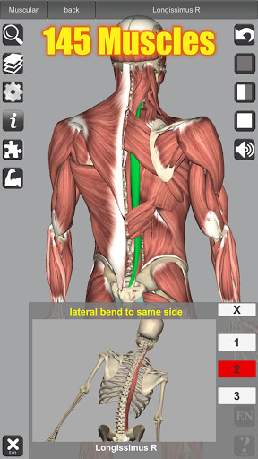 3D Anatomy screenshot 19