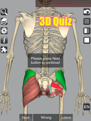 3D Anatomy screenshot 17