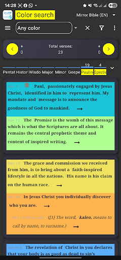 Mirror Study Bible screenshot 9