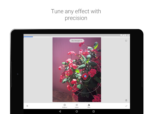 Snapseed screenshot 8
