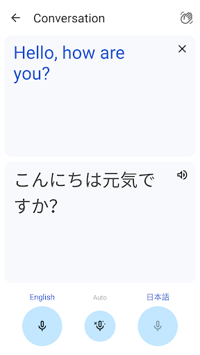 Google Translate screenshot 10
