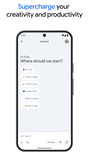 Google Gemini screenshot 3