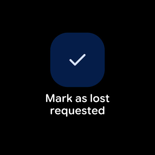 Google’s Find Hub screenshot 10