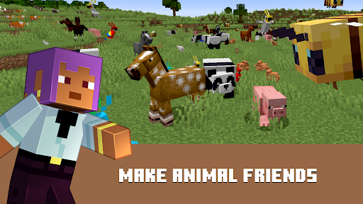 Minecraft: Dream it, Build it! screenshot 7