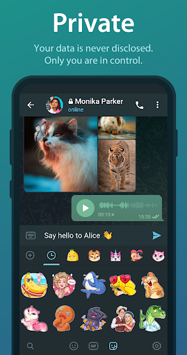 Telegram screenshot 5