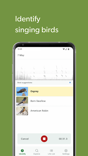 Merlin Bird ID by Cornell Lab screenshot 2
