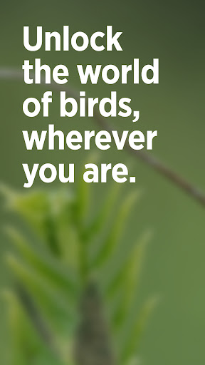 Audubon Bird Guide screenshot 7