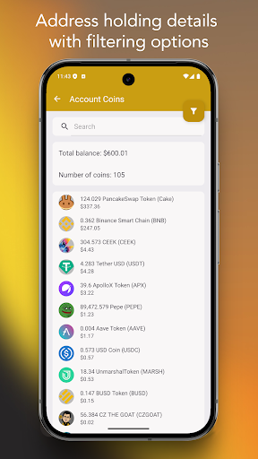 Binance Smart Chain Explorer screenshot 3