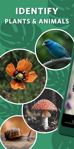 Seek by iNaturalist screenshot 2